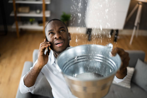 Best Water damage contractors near me  in Placentia, CA
