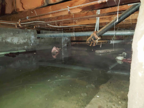 Best Commercial water damage restoration  in Placentia, CA