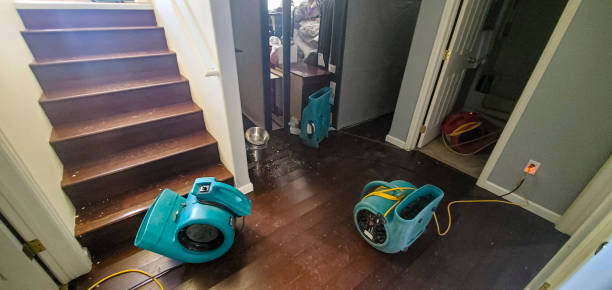 Best Basement water damage restoration  in Placentia, CA