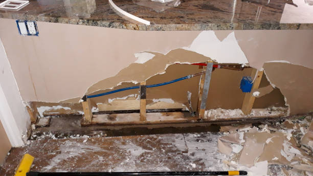 Best Ceiling water damage repair  in Placentia, CA