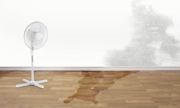 Best Local water damage restoration  in Placentia, CA