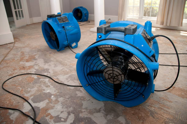 Best Fire Damage Restoration  in Placentia, CA