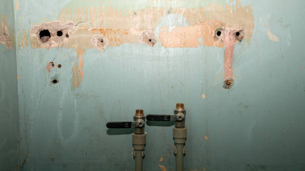 Best Flood damage cleanup  in Placentia, CA