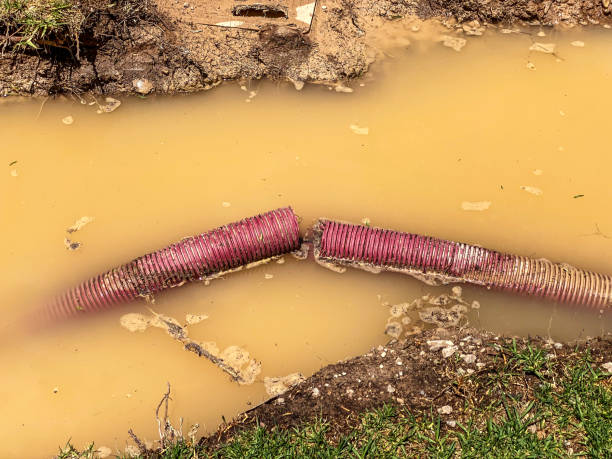 Best Emergency water damage restoration  in Placentia, CA