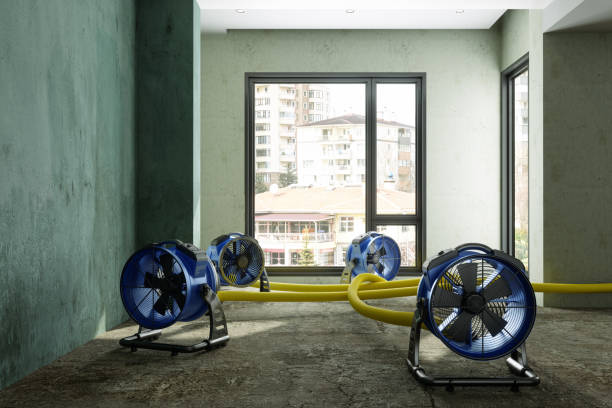 Best Water damage repair service  in Placentia, CA