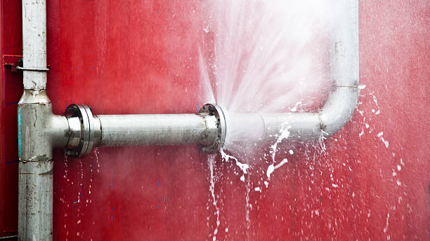 Best Water damage cleanup near me  in Placentia, CA